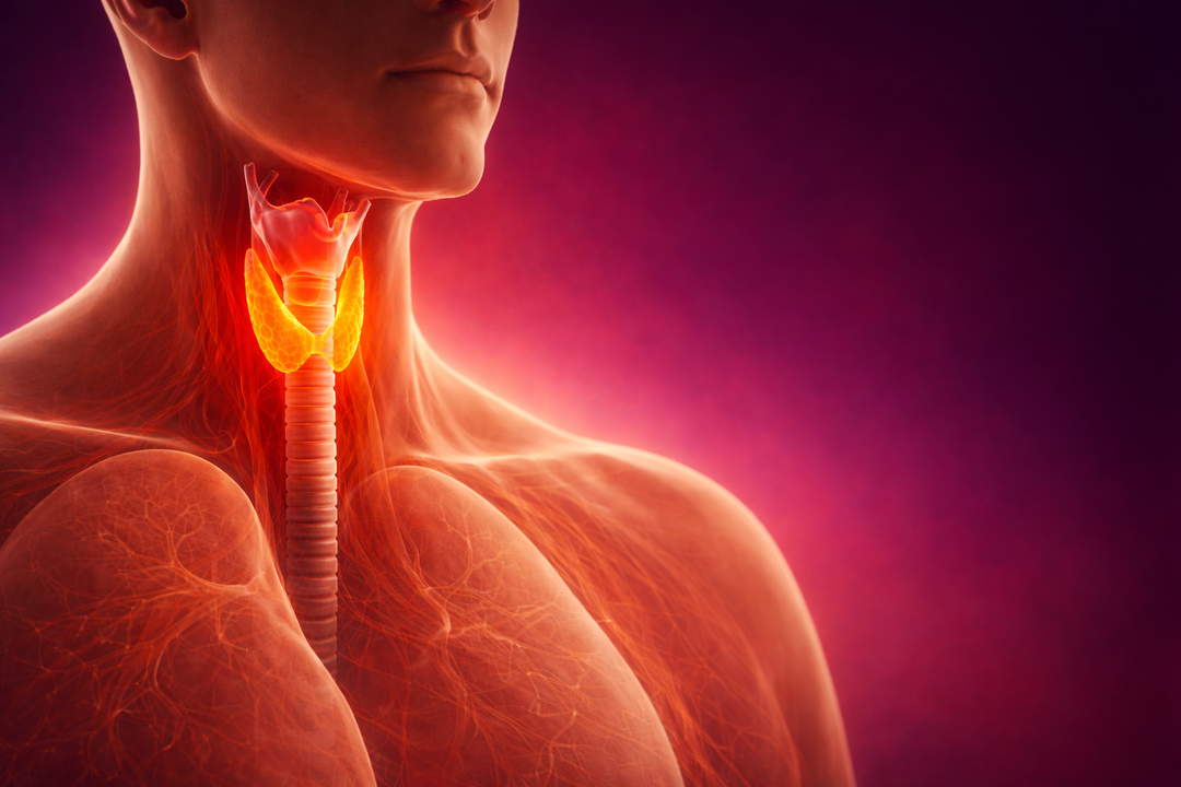 Laringófonos: una ayuda esencial para las personas con dificultades vocales